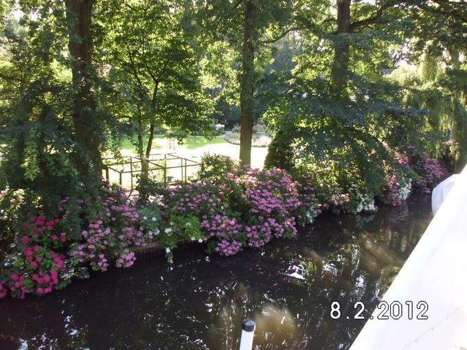 Mooie hortensia's langs de oevers van de Vegte in Nederland.