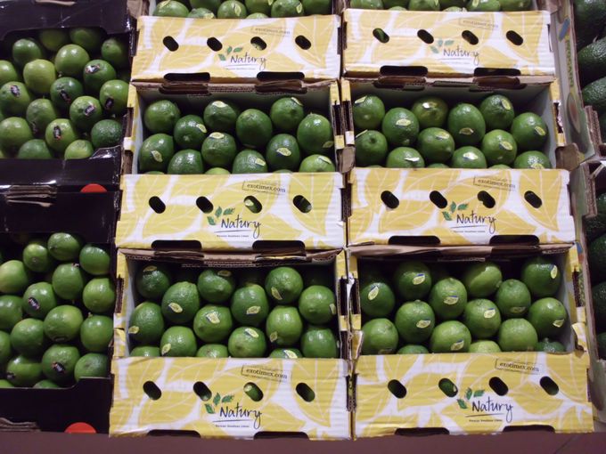 De verkoop van limoenen stijgt , ze naast de citroenen in uw winkel of marktkraam en de verkoop zal nog meer stijgen.