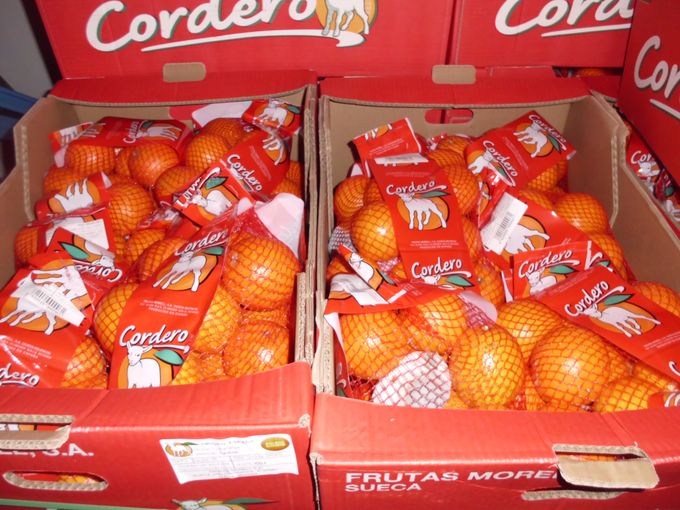 Verpakte appelsien van het merk Cordero bij invoerder Van Lier te Brussel.