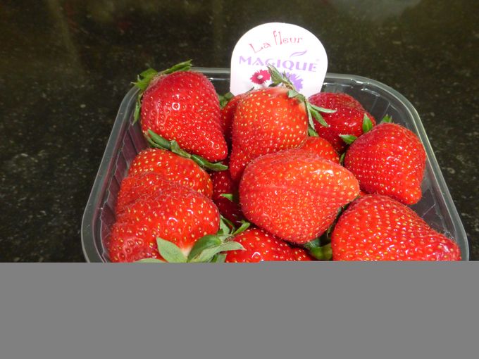 Mooie Belgische aardbeien vh merk Magique van leverancier Vandepoel uit Brussel. Wk23.1