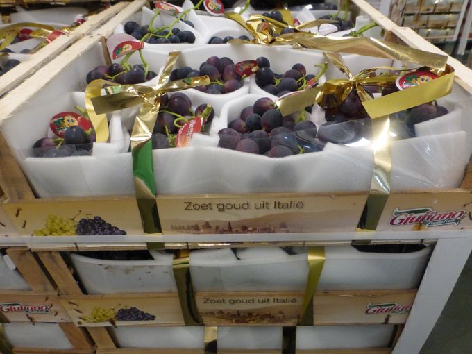 Palliëri ( blauwe druif met pit) gezien bij invoerder Superfruit te Brussel in wk32.ien