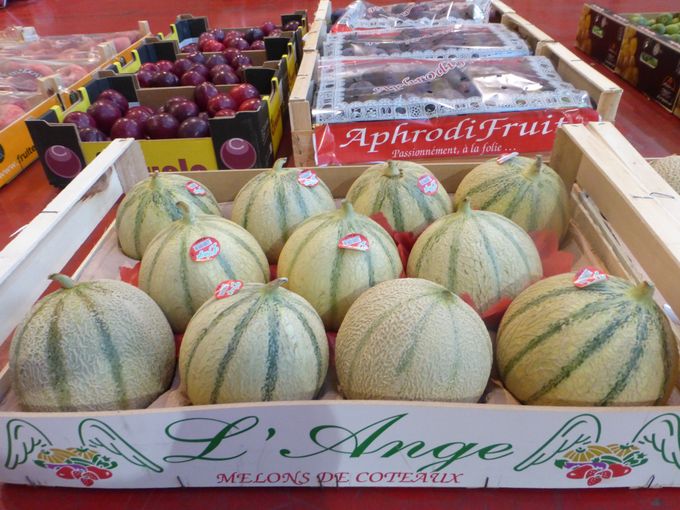 Prachtige charentais meloenen gezien bij invoerder Superfruit.