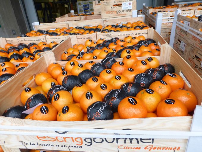 Mooie appelsienen van het merk Gourmet gezien bij invoerder
 Zeghers te Brussel.