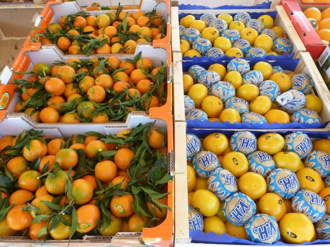 Wie winter zegt denkt zeker aan al dat lekkere citrus fruit.