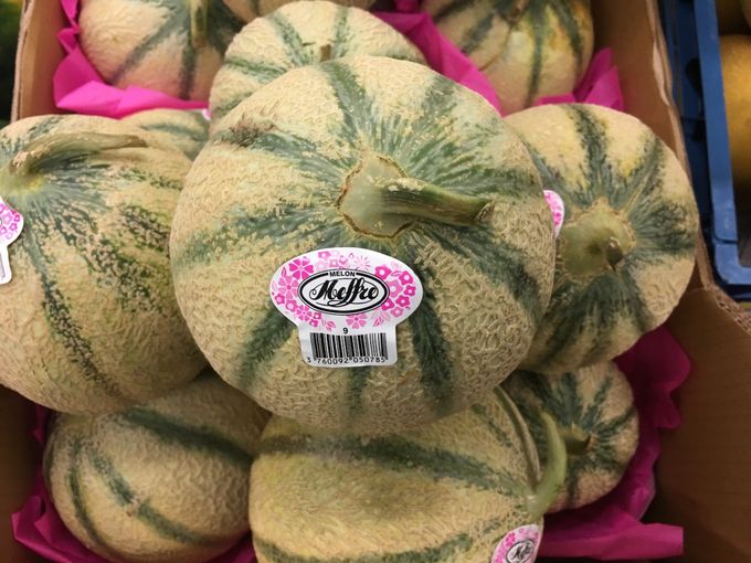 Mooie en natuurlijk gerijpte meloen aan de struik van het merk Meffre.