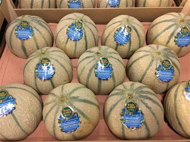 Mooie Charentais meloenen uit Spanje.