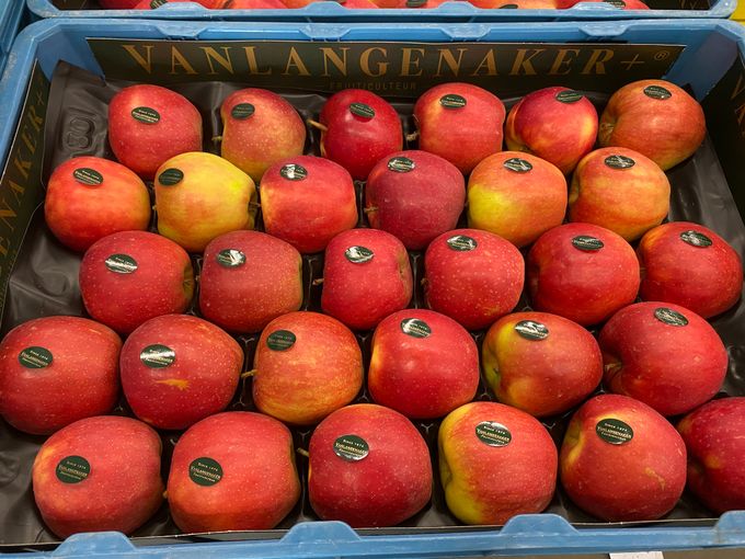 Ja België klein als land maar groot in de kwaliteit van zijn Jonagold appel.