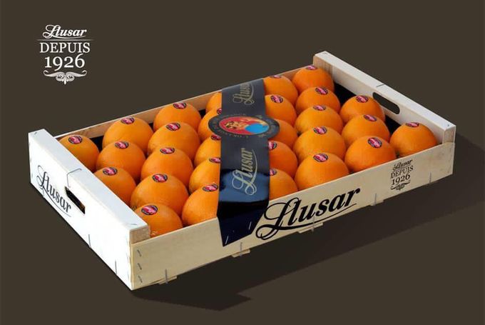 Mooie verpakking voor appelsienen van Llusar. Invoerder is Guidofruit in Brussel. Het seizoen van de Spaanse appelsien begint in november en loopt tot juni. 