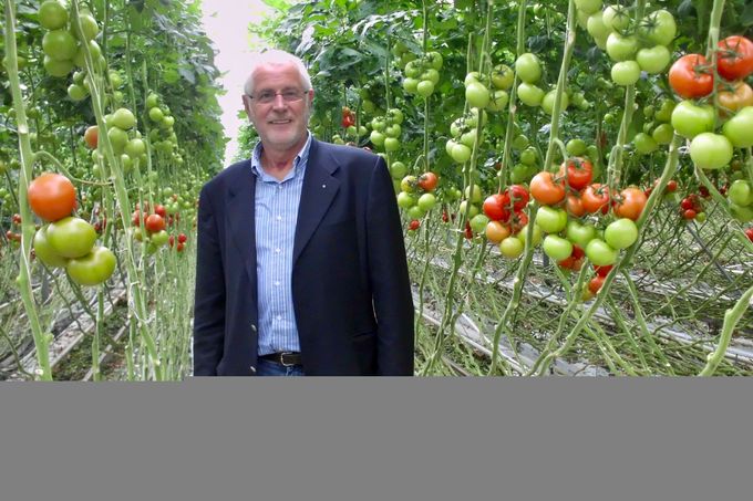 Tomaten zijn de TOP1 groenten in België. 
Dus zeker de moeite om er als winkelier en marktkramer 
12 maanden per jaar echt mee bezig te zijn. 
We hebben in België een ruime keuze aan kwaliteits tomaten. 
De Flandria  tomaten worden geproduceerd volgens strenge lastenboeken.  